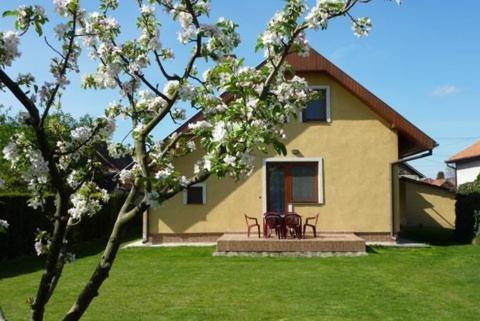 Вилла Apartman Foldes Tibor Вельки-Медер Экстерьер фото